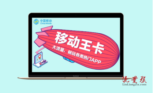 移动大王卡和联通大王卡的区别