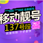 移动日租卡——1元500兆流量