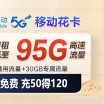 移动花卡宝藏版29元95GB流量套餐介绍